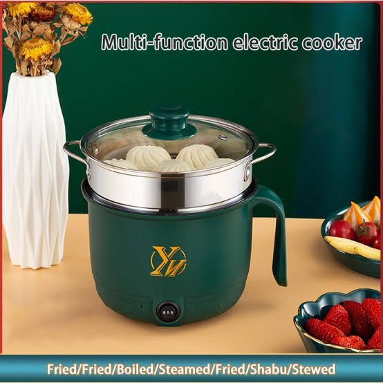 Wenhuo Mini Electric Multifunction Cooker 18 cm (0.5 Ltr.) – Green